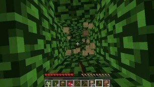 Stupid Bitch Gets Fucked Silently whilst Playing Minecraft