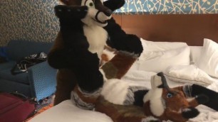 Two Gay Furries Fucking 3