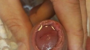 Foreskin playing full of precum